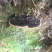高山野生灵芝，