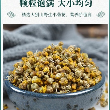 大别山野生菊花
