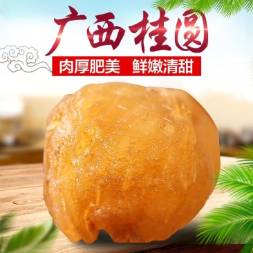 龙眼肉广西桂圆干批发桂圆肉无核5A6A博白龙眼肉厚特级