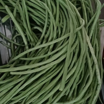 鲜豆角、农户自家院里种植的，无任何公害、纯绿色豆角