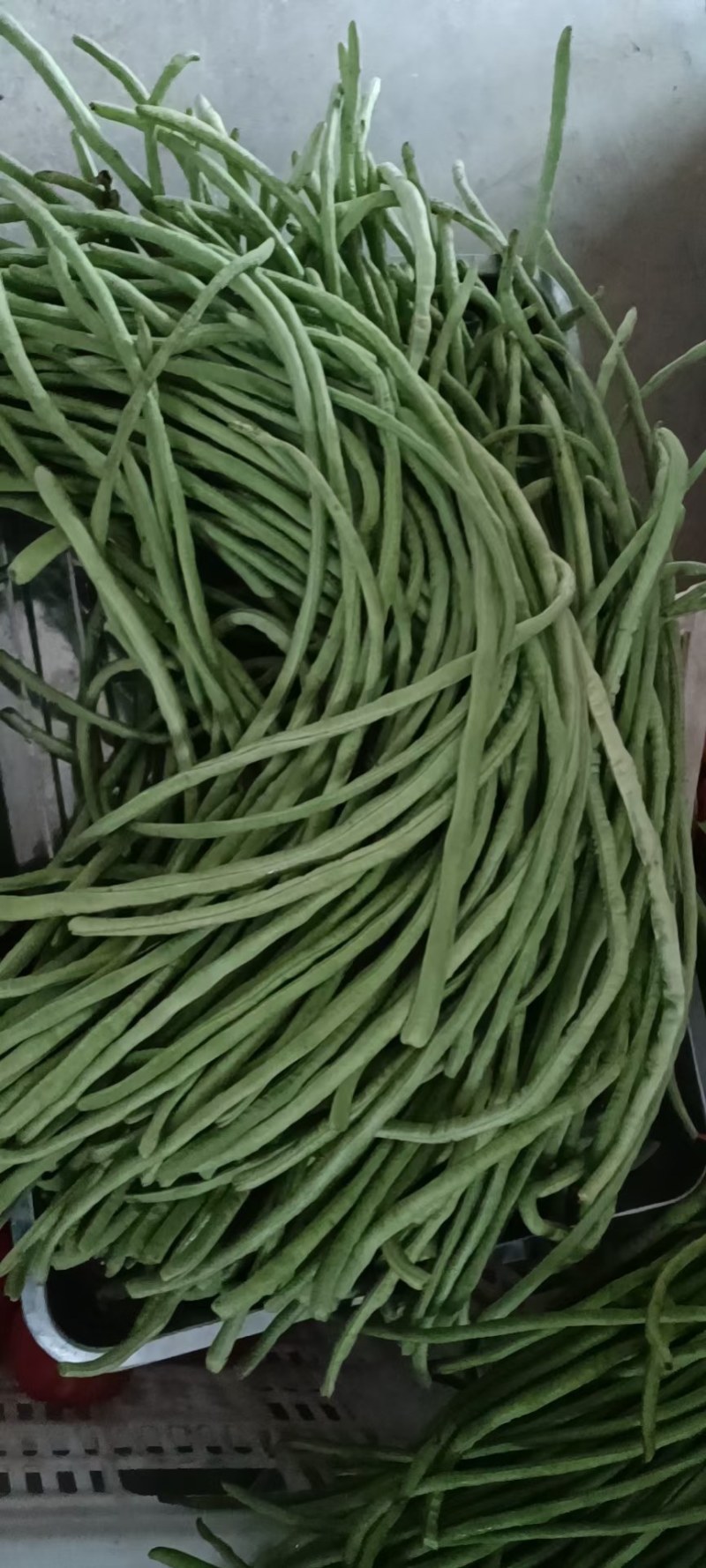 鲜豆角、农户自家院里种植的，无任何公害、纯绿色豆角