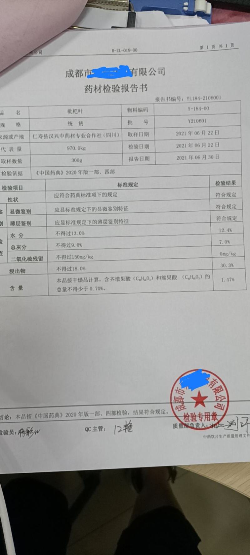 产地直供优质枇杷叶，2015药典过检/全国批发质量三包