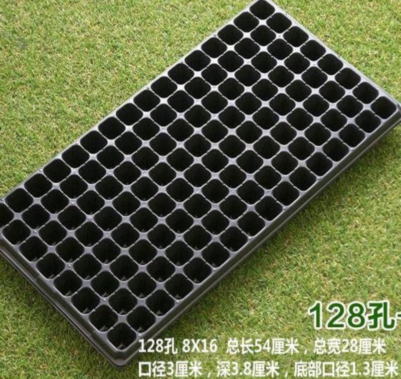 穴盘育苗盘辣椒茄子黄瓜多肉芽菜300片一箱(包运费)