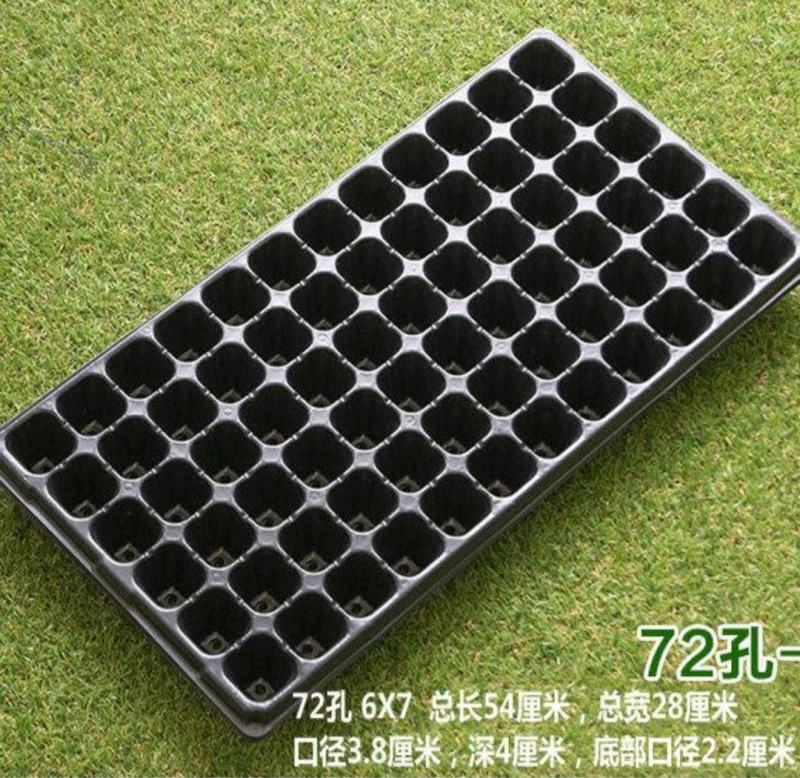 穴盘育苗盘辣椒茄子黄瓜多肉芽菜300片一箱(包运费)