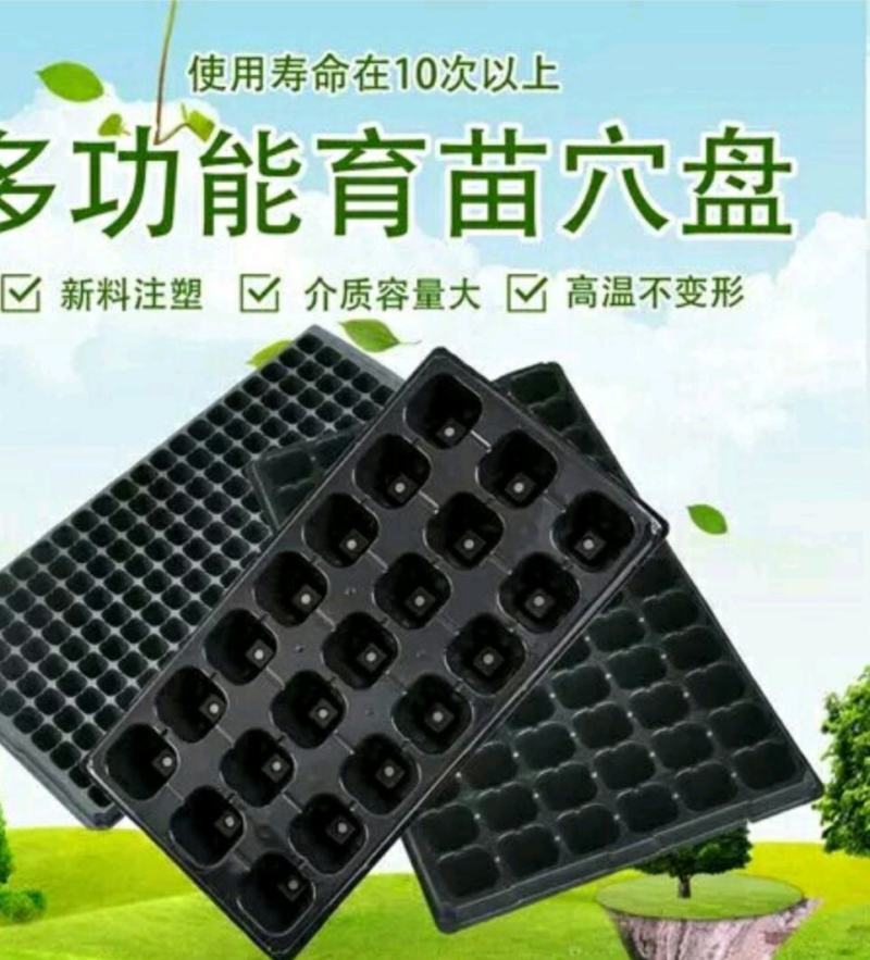 穴盘育苗盘辣椒茄子黄瓜多肉芽菜300片一箱(包运费)