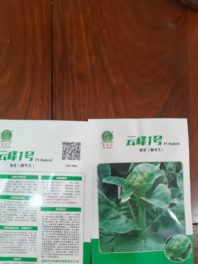 高档耐热抗病毒青芥兰种子
