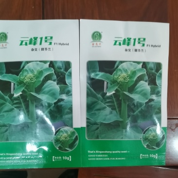高档耐热抗病毒青芥兰种子