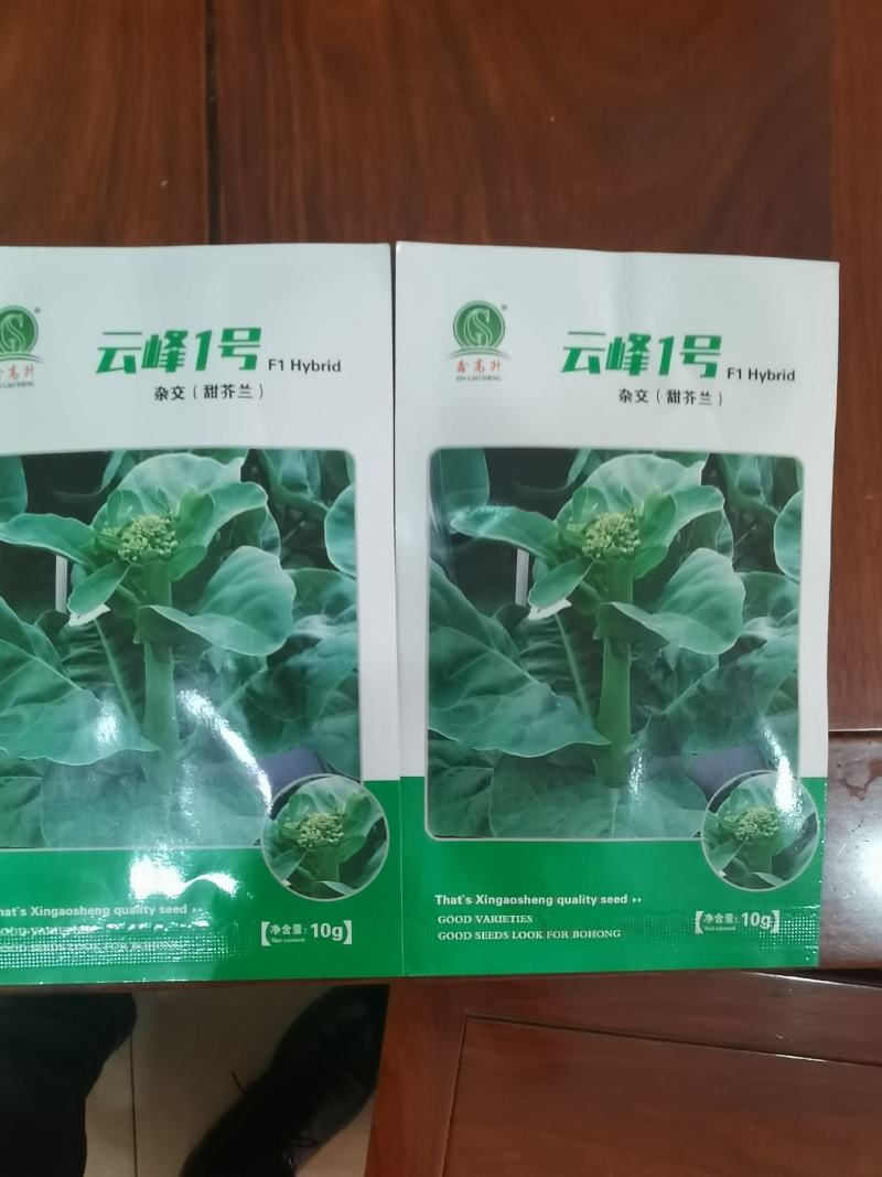 高档耐热抗病毒青芥兰种子