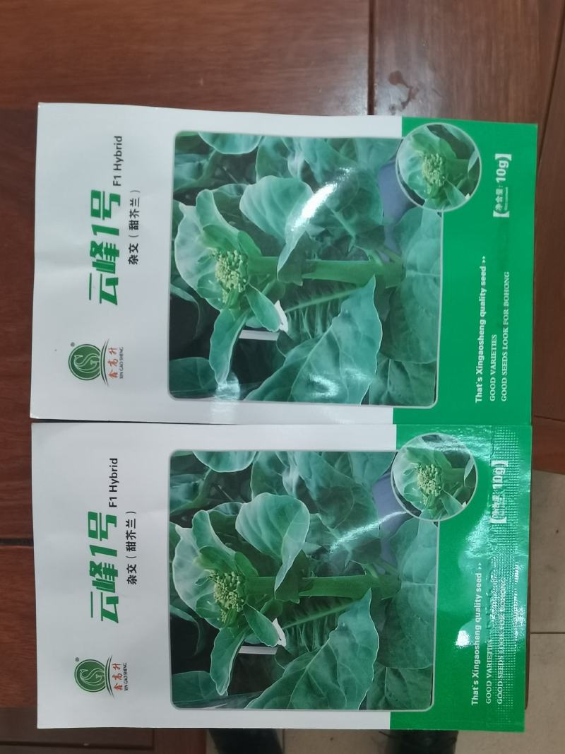 高档耐热抗病毒青芥兰种子