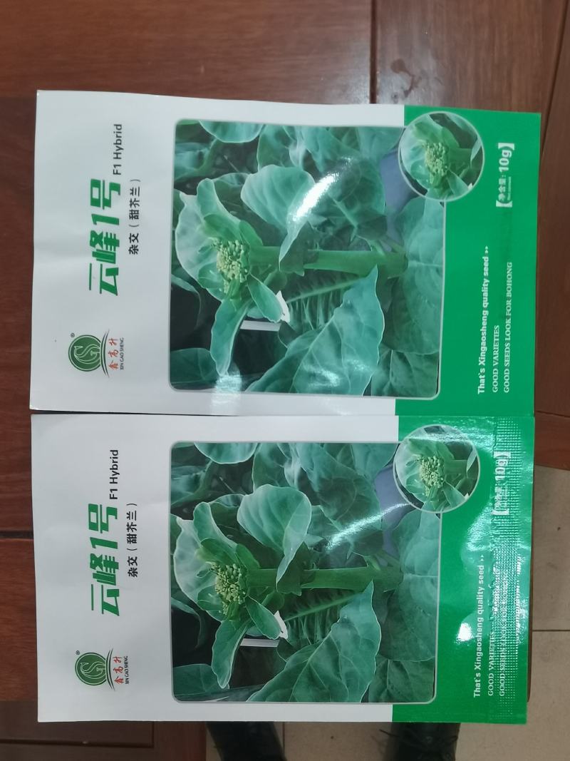 高档耐热抗病毒青芥兰种子