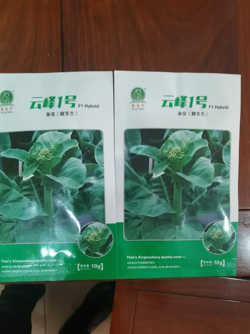 高档耐热抗病毒青芥兰种子