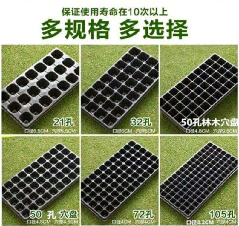 穴盘育苗盘辣椒茄子黄瓜多肉芽菜300片一箱(包运费)