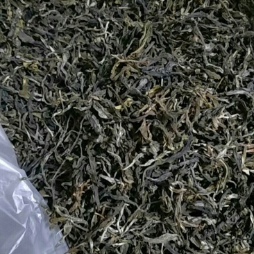 老树茶叶