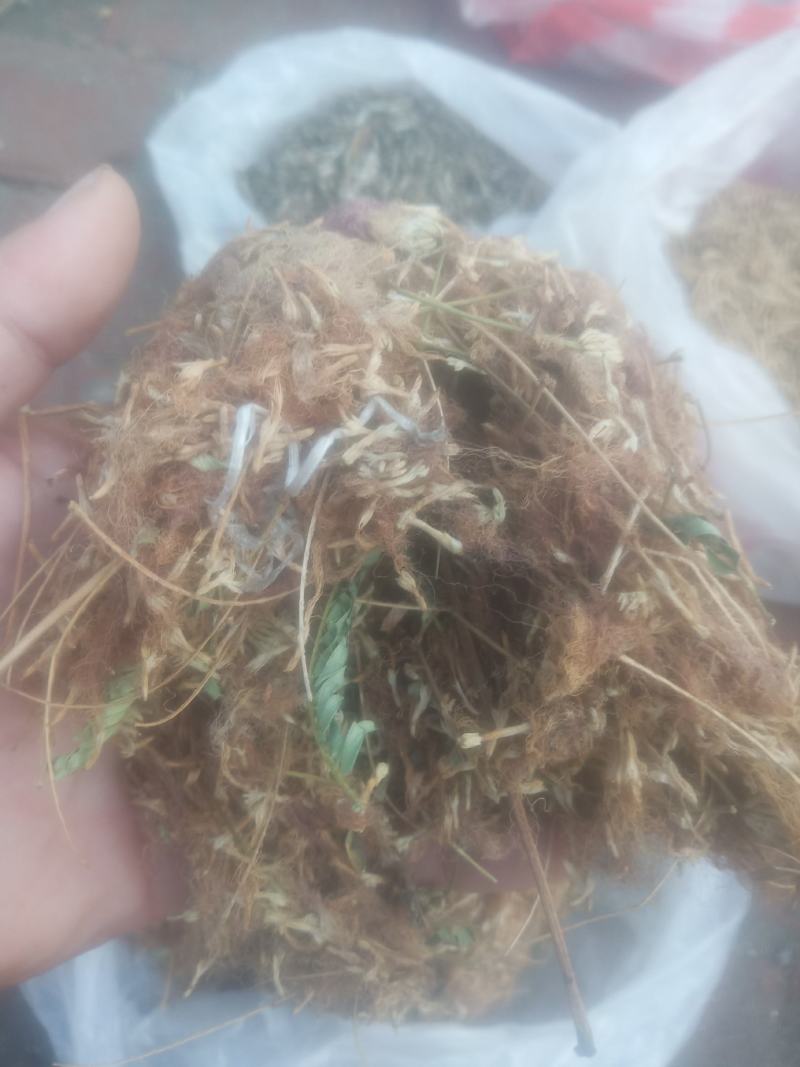 合欢花芙蓉花山东临沂产地直销新货颜色鲜黄干净无杂质