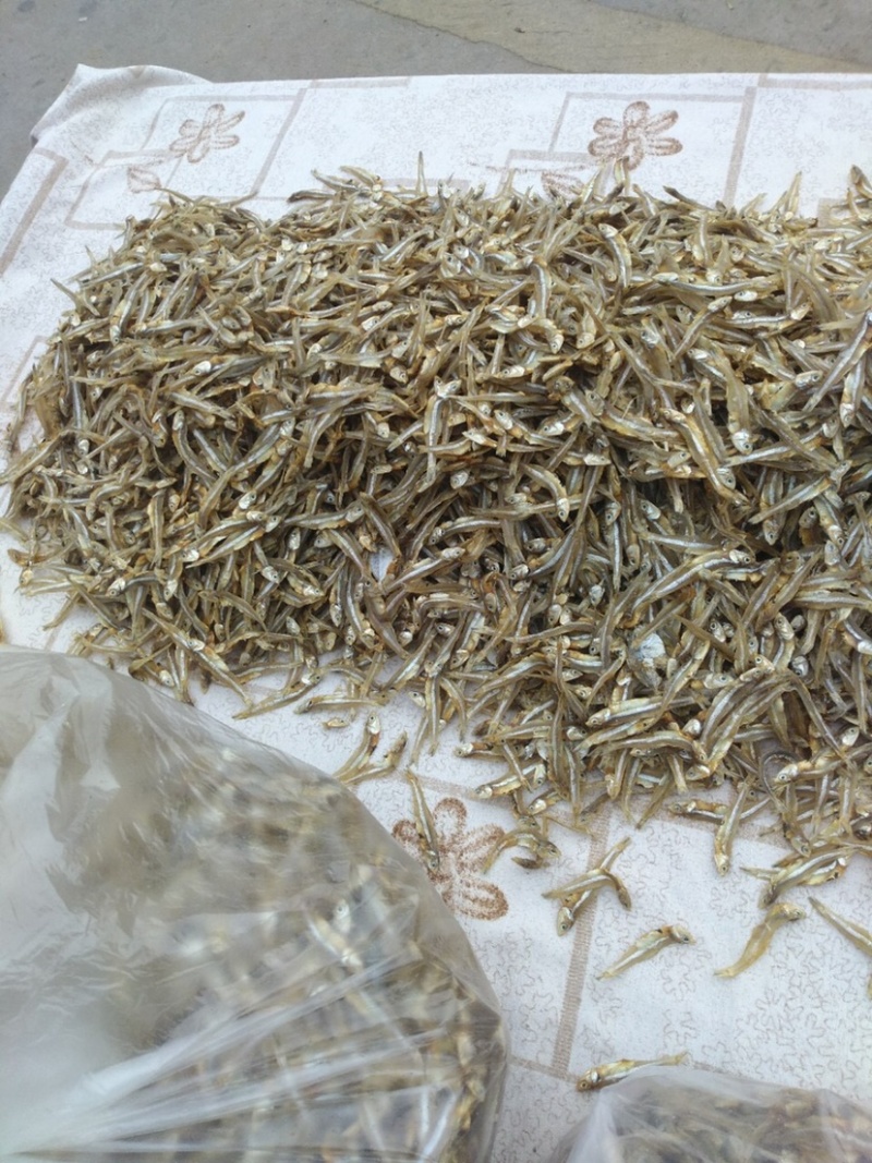北海小鱼干海燕鱼，毛刀鱼，银鱼干白凡鱼，水晶鱼