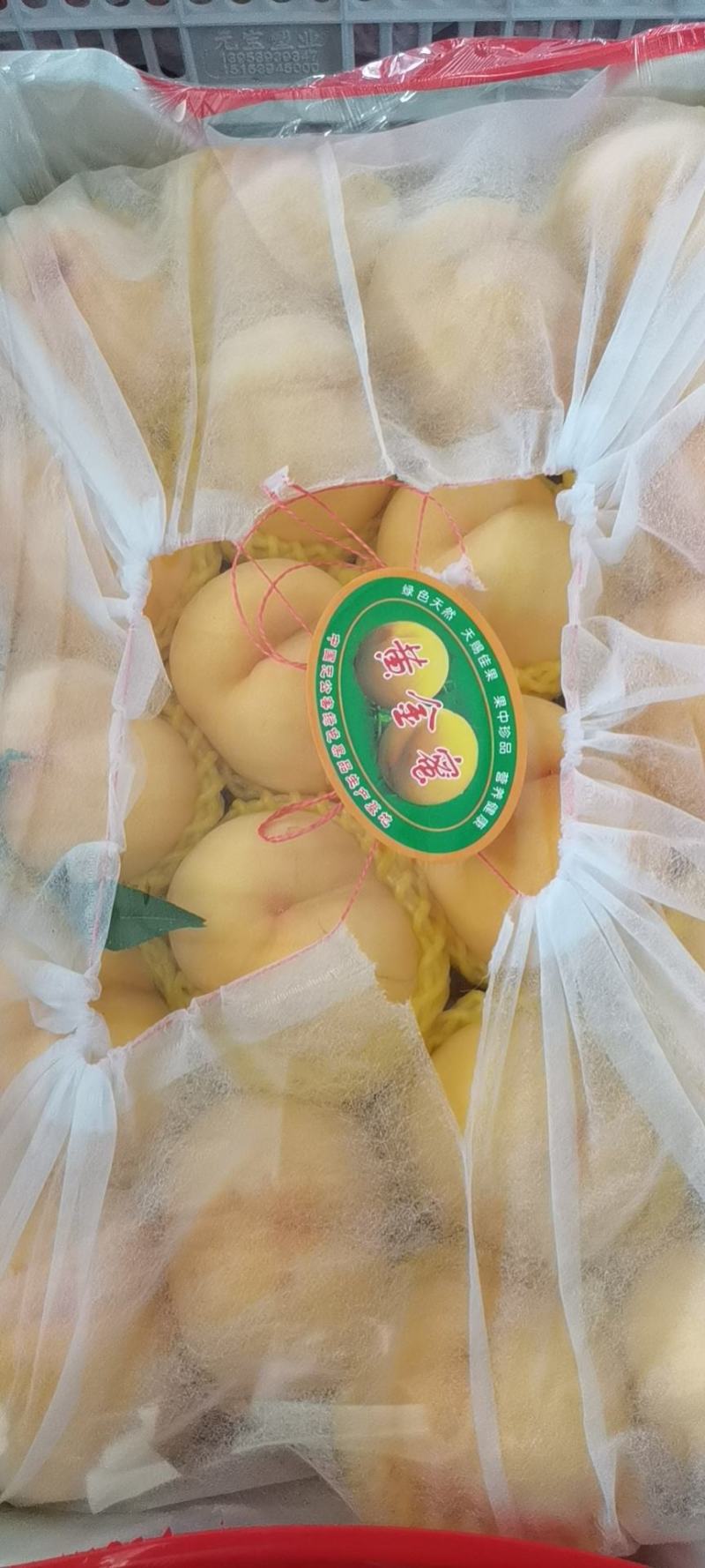 【推荐精选】黄桃大量上市产地直供诚信合作24小时供