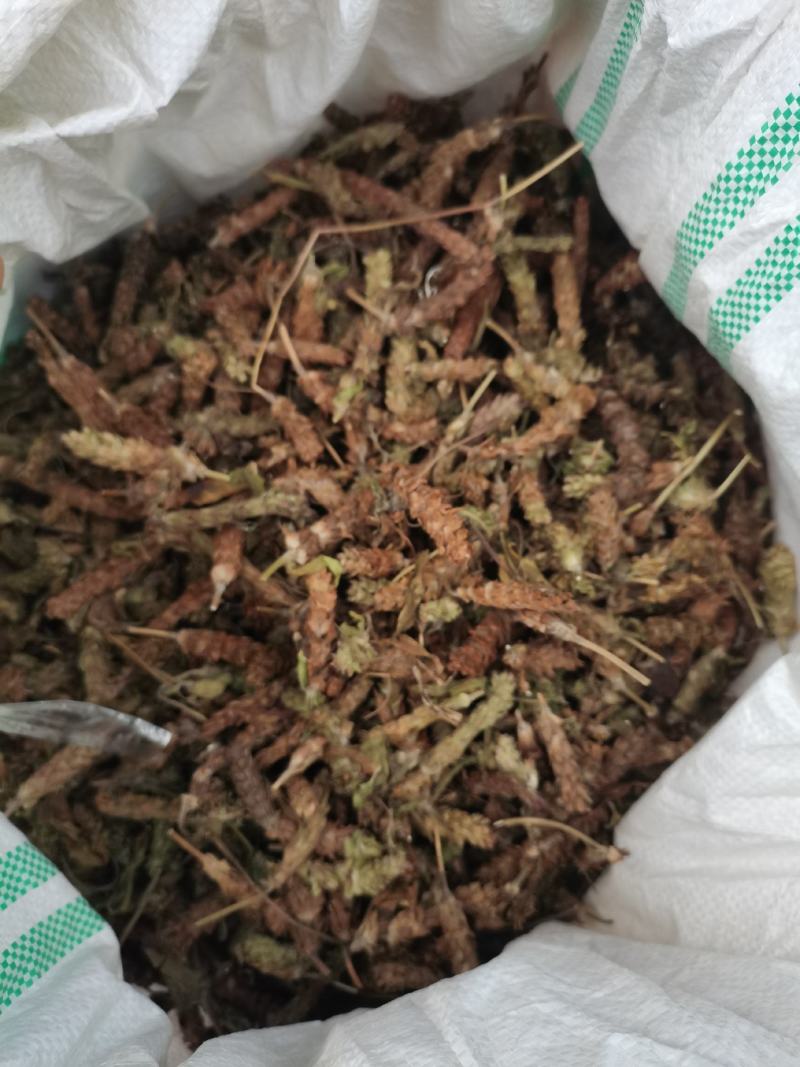 夏枯草夏枯草夏枯球今年新货新花中大