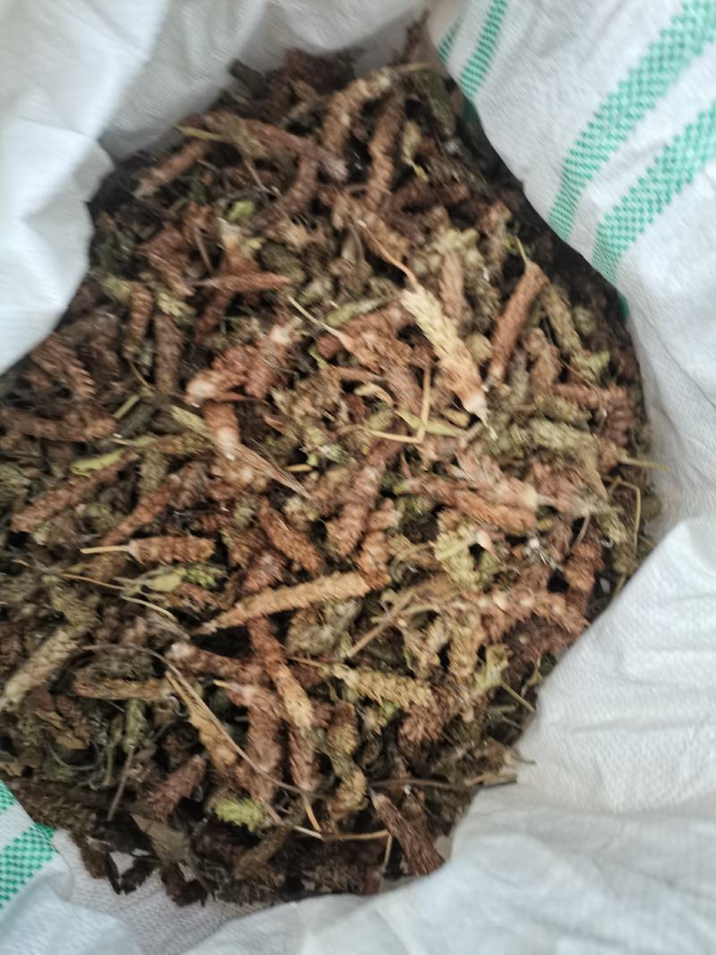 夏枯草夏枯草夏枯球今年新货新花中大