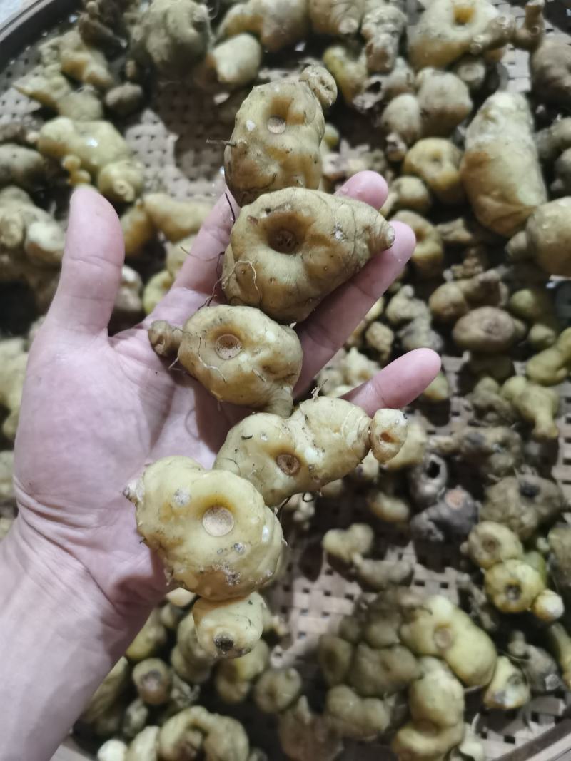 纯野生九蒸九晒黄精拍第一个试用装是50克30元包邮