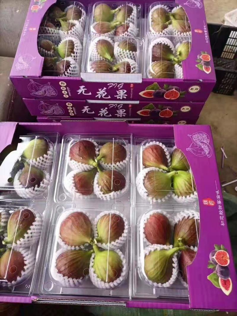 波姬红无花果一年四季不断货空运直发快递物流冷藏车价格优惠