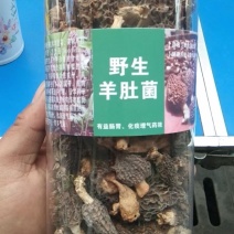 羊肚菌～干货(全国包邮)