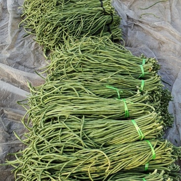 精品长豆角豇豆诚信代办价格美丽！！！！！