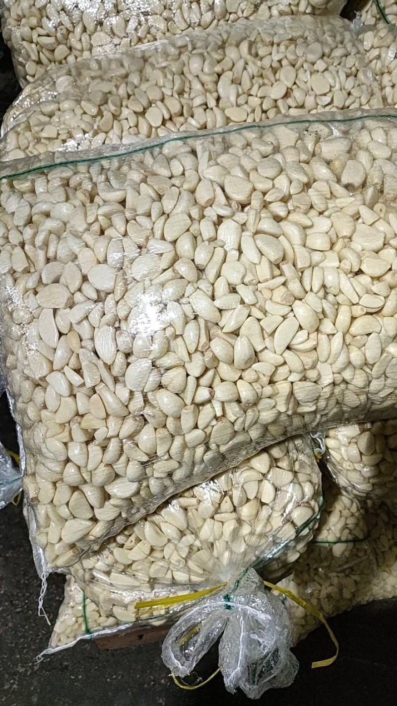 【腌制腊八蒜专用】，蒜米，原厂地直销，规格齐全，物美价廉