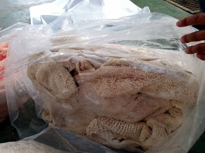 牛肚.国产半成品水煮牛肚.实物实拍质量.一件也是批发价