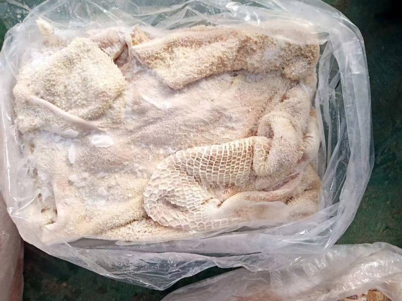 牛肚.国产半成品水煮牛肚.实物实拍质量.一件也是批发价