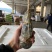 越南小青龙