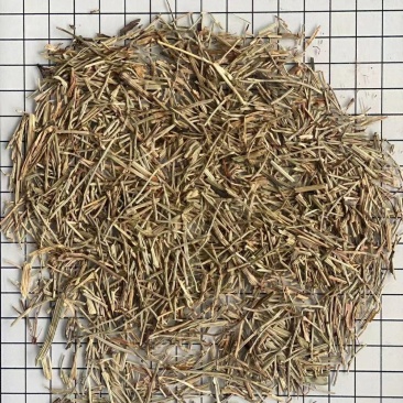 问荆干货量大从优冷背专营欢迎选购！