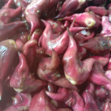 湖北特产，青菱角，红菱角，