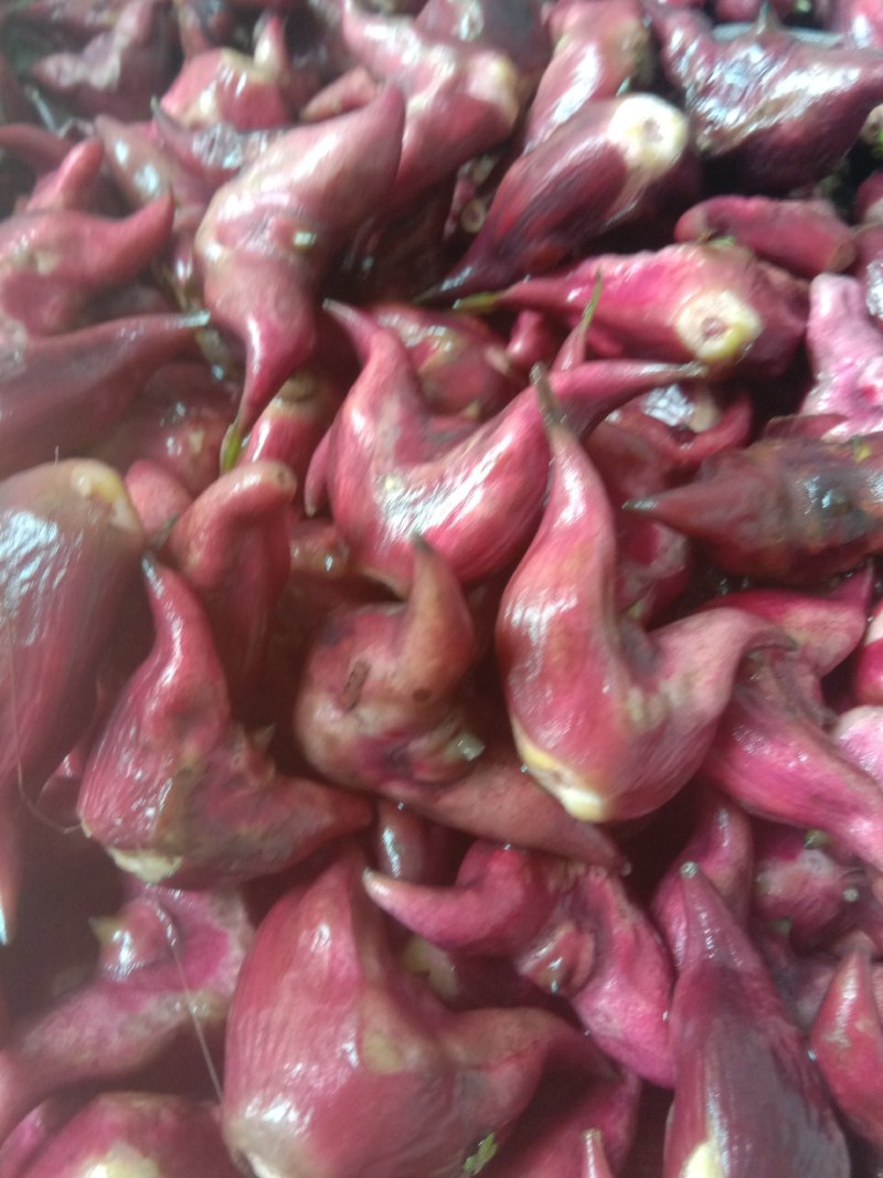 湖北特产，青菱角，红菱角，