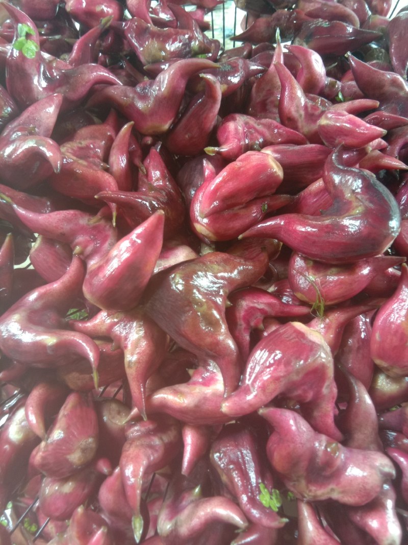 湖北特产，青菱角，红菱角，