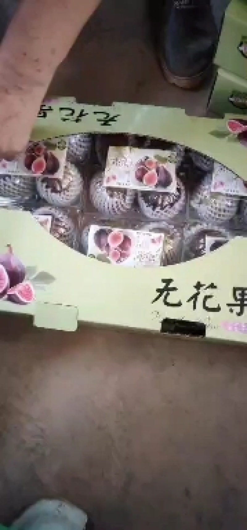 波姬红无花果！！