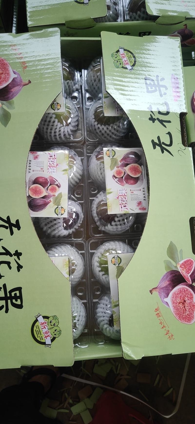 波姬红无花果！！