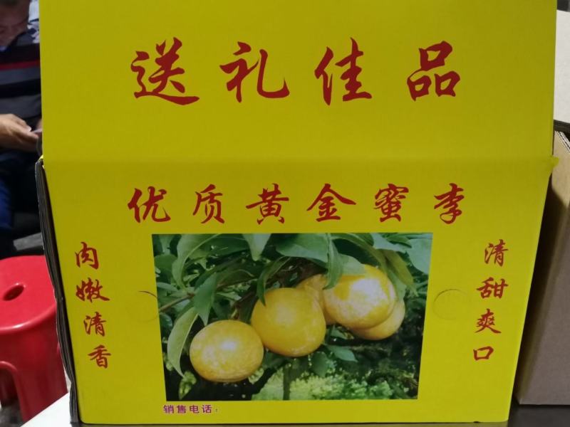 黄金奈李