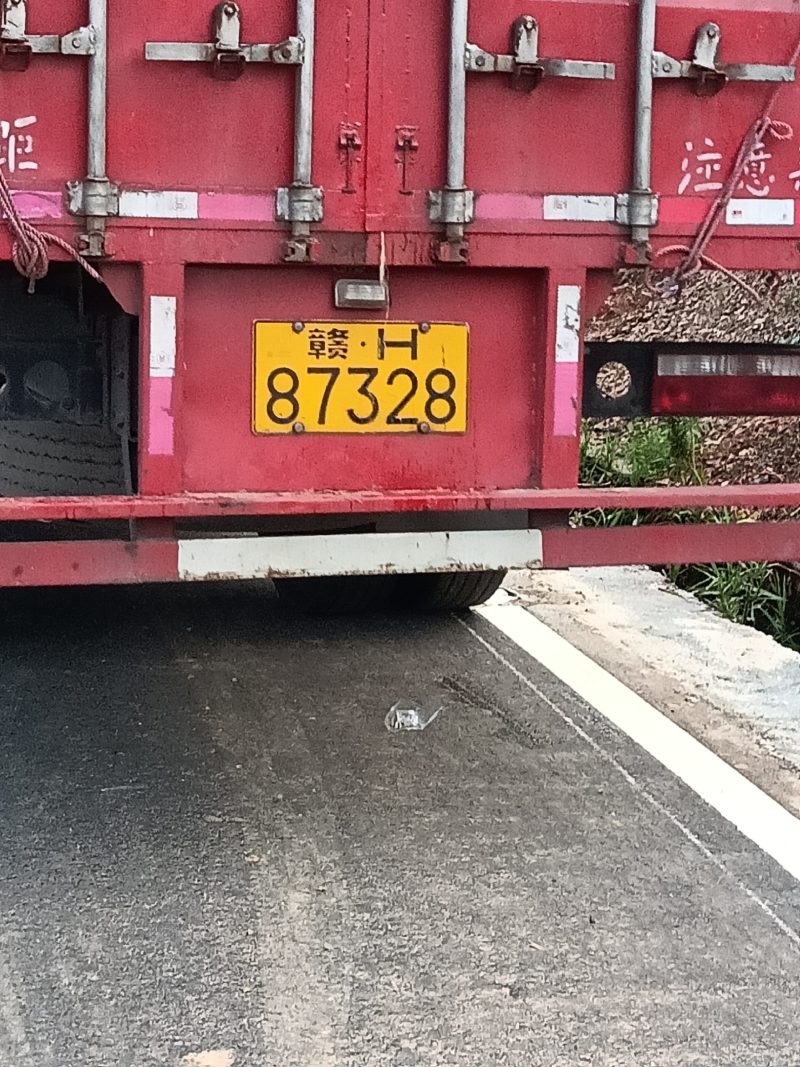 金城5号石头瓜