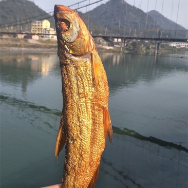 湖南资兴东江湖特产干鱼干虾