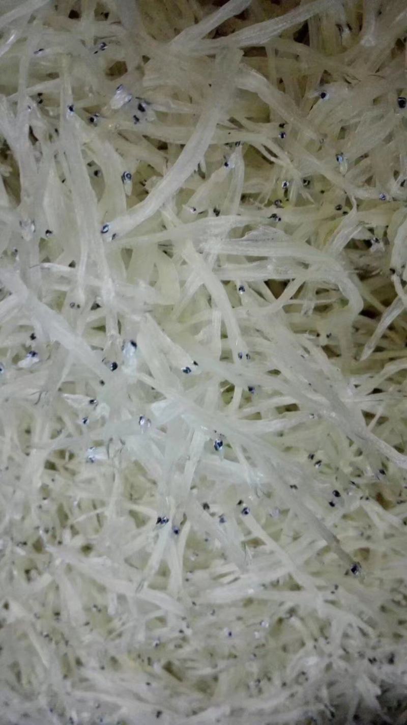 湖南资兴东江湖特产干鱼干虾