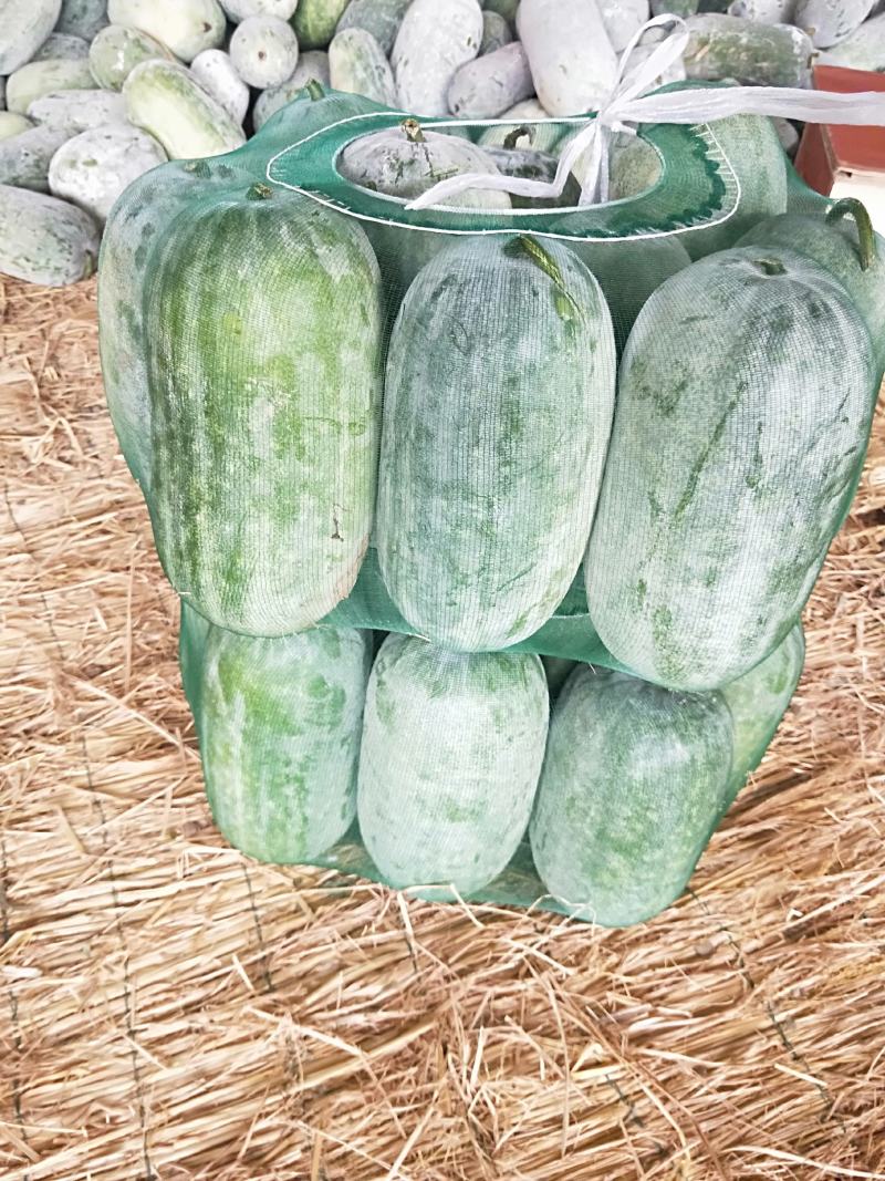 水果冬瓜，串岭冬瓜，白皮冬瓜，小冬瓜，精品电商货