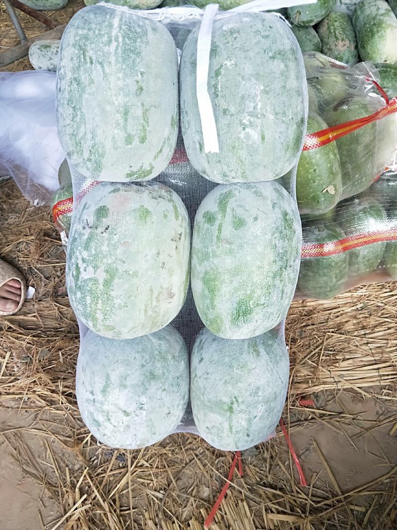 水果冬瓜，串岭冬瓜，白皮冬瓜，小冬瓜，精品电商货