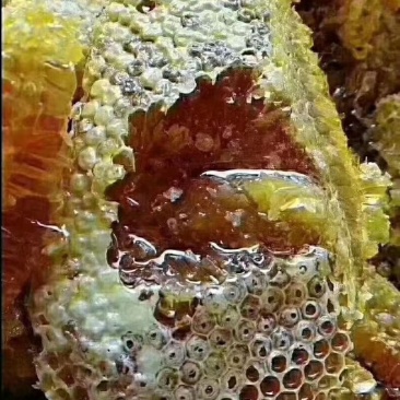 湖南资兴东江湖高山蜂蜜