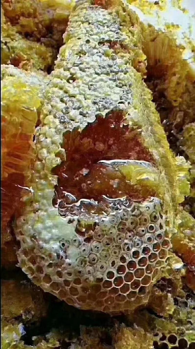 湖南资兴东江湖高山蜂蜜