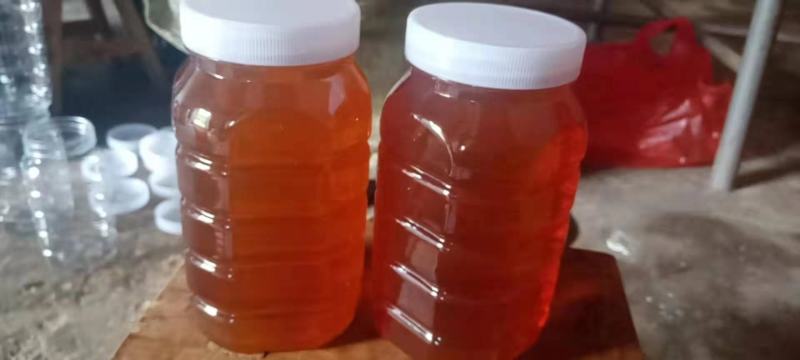 湖南资兴东江湖高山蜂蜜