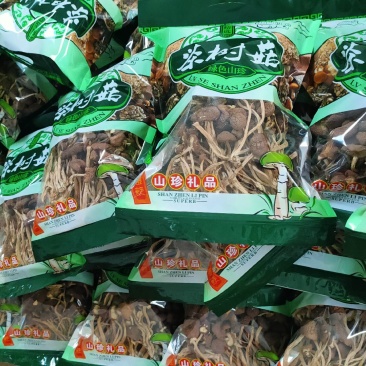 干茶树菇