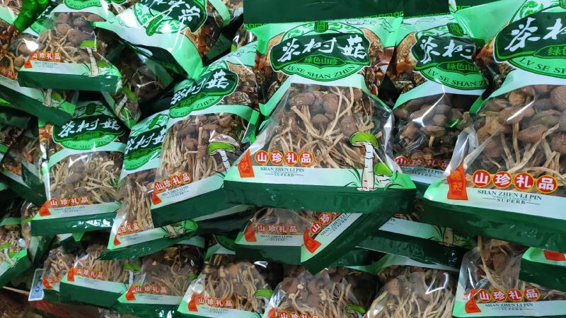 干茶树菇