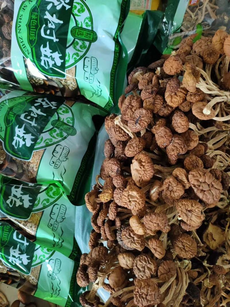 干茶树菇