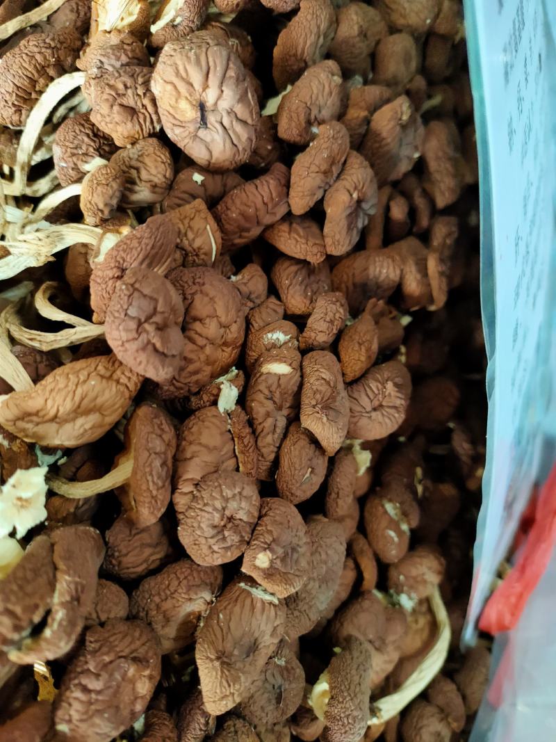 干茶树菇