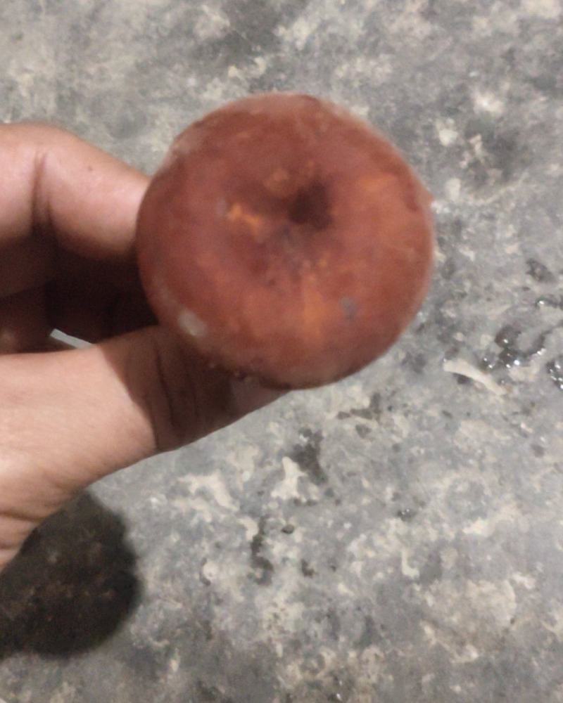 贵州深山老林里的野生奶浆菌。自己上山找的，